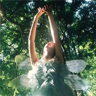 海上传奇2005