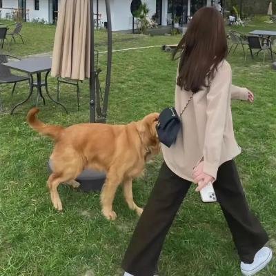 飞女正传